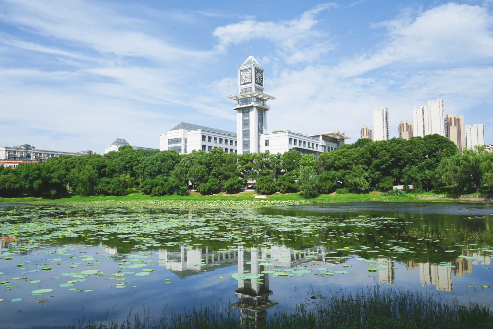 1747283212918555.jpg 1000g00828adsuvofo0005ntol2h08ag8bsiisi8.jpg